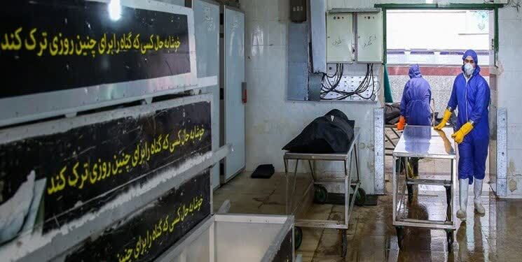 امام محله ای که برای ۱۰ روستای با پرورش ماهی و زنبورداری اشتغالزایی کرد