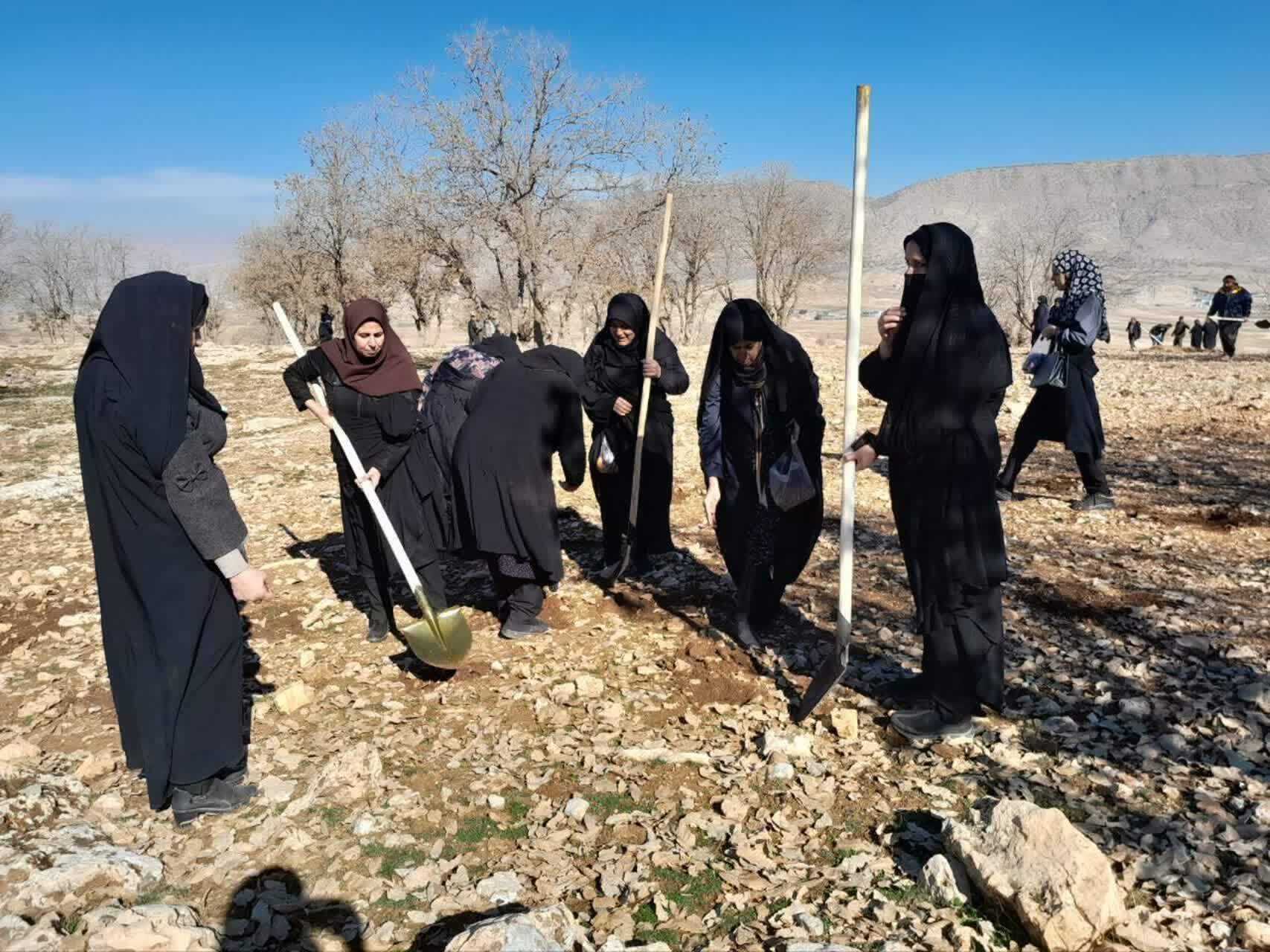 کاشت نهال به نیابت از شهدای حادثه تروریستی کرمان در شهرستان بدره  کاشت نهال به نیابت از شهدای حادثه تروریستی کرمان در شهرستان بدره