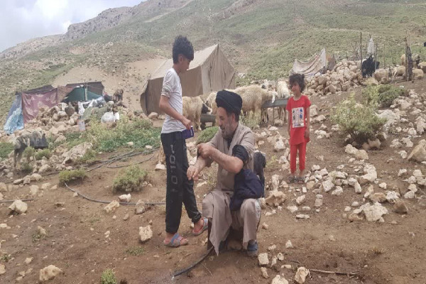 «فصل استقبال» در مناطق عشایری کیار